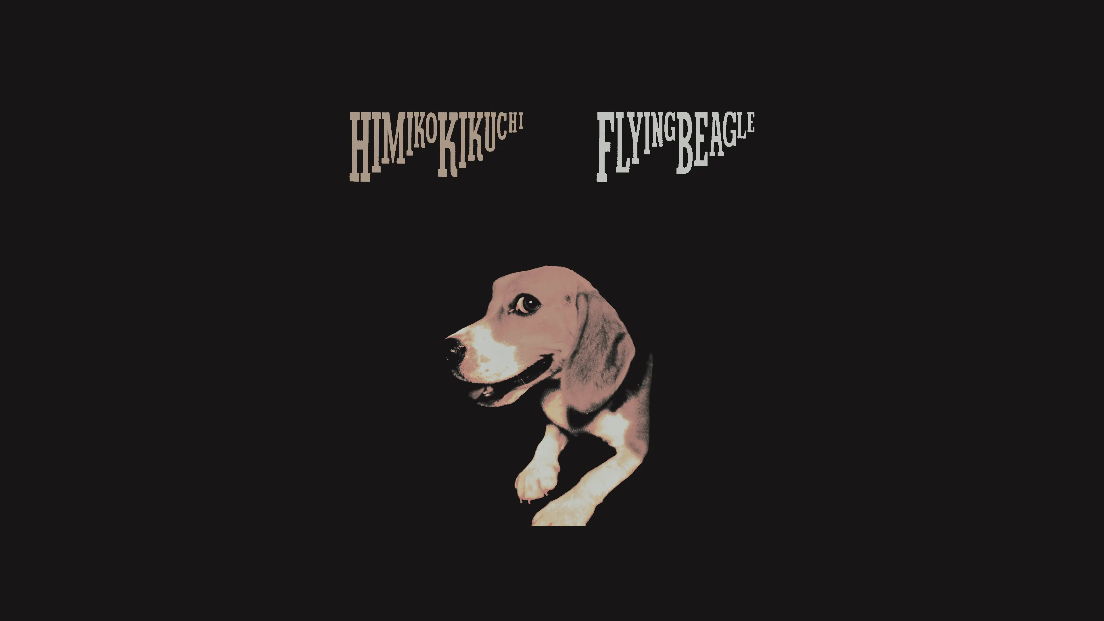 flying beagle